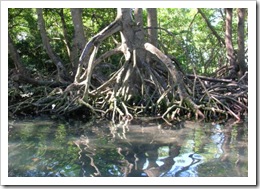 medium_Rio San Juan Laguna GriGri_Laguna_grigri(rio_san_juan)025